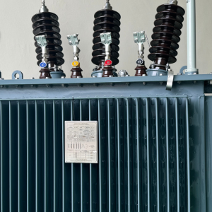 100 kVA Distribution Transformer
